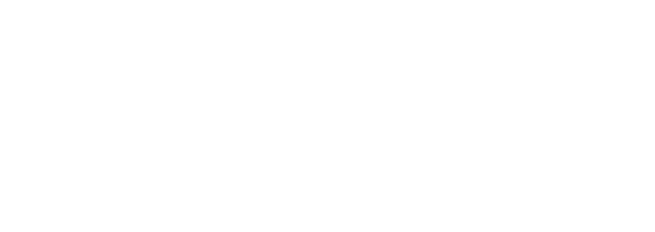 Pivotal Lucid Solutions Logo